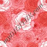 Colour:J