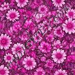 Colour:B