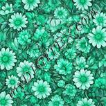 Colour:C