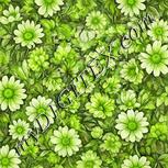 Colour:D