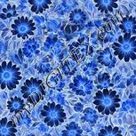 Colour:F