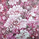 Colour:B