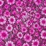 Colour:B