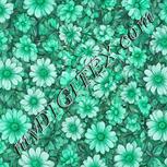 Colour:C