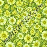 Colour:K