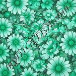 Colour:C