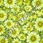 Colour:K