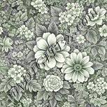 Colour:D