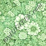 Colour:K