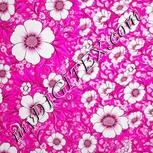 Colour:B