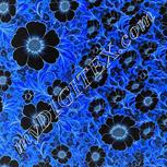Colour:F