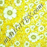 Colour:K