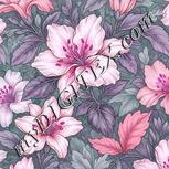 Colour:B