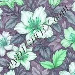 Colour:C
