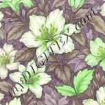Colour:D