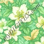 Colour:K