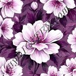Colour:B
