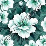 Colour:C