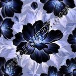 Colour:F
