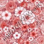 Colour:B