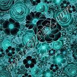 Colour:F