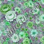 Colour:C