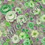 Colour:D
