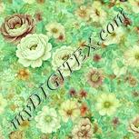 Colour:K