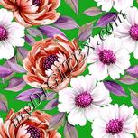 Colour:B