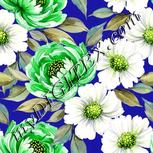 Colour:D