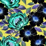Colour:F