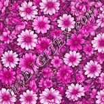 Colour:B