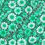 Colour:C