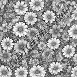 Colour:E