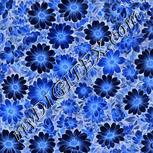Colour:F