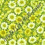 Colour:K