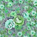 Colour:C