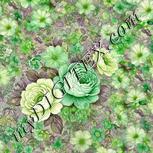 Colour:D