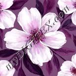 Colour:B