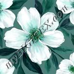 Colour:C