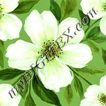 Colour:K