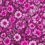 Colour:B