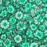 Colour:C
