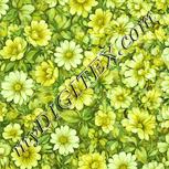 Colour:K