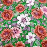 Colour:B