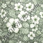 Colour:D