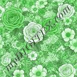 Colour:C