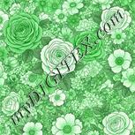 Colour:D