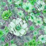 Colour:C