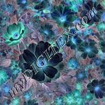 Colour:F